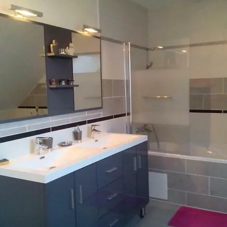 Les 3 Edelweiss*** A Avec Piscine Commune 85550 Arette